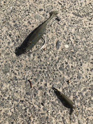 hideup 松本泰明 ブログ写真 2017/05/04