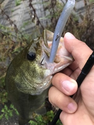 hideup 松本泰明 ブログ写真 2017/09/08