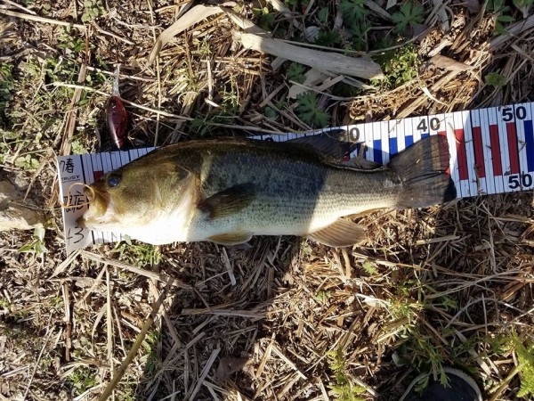 hideup 松本泰明 ブログ写真 2017/04/24