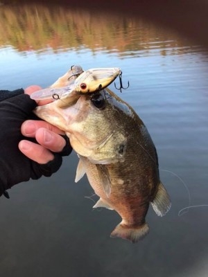 hideup 松本泰明 ブログ写真 2017/11/22