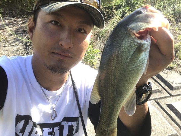 hideup 松本泰明 ブログ写真 2017/08/31