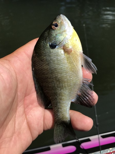 hideup 松本泰明 ブログ写真 2017/08/19