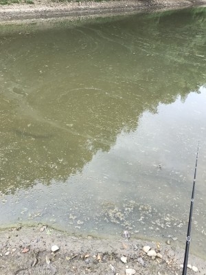 hideup 松本泰明 ブログ写真 2017/09/05