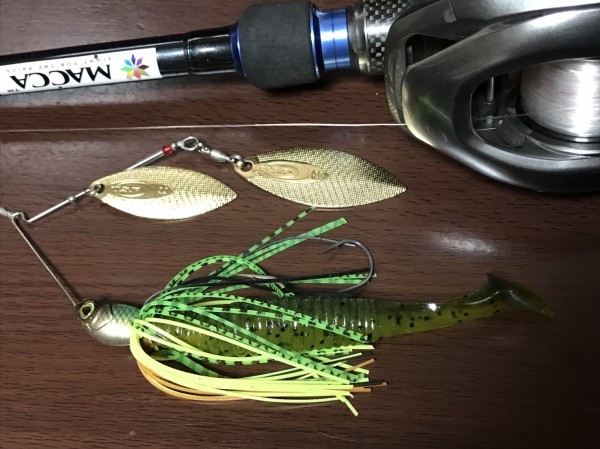 hideup 松本泰明 ブログ写真 2017/04/18