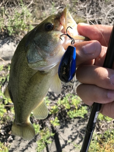 hideup 松本泰明 ブログ写真 2017/08/31