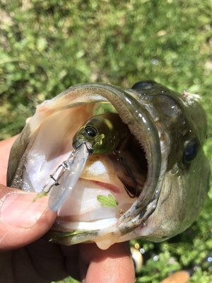 hideup 松本泰明 ブログ写真 2017/04/28