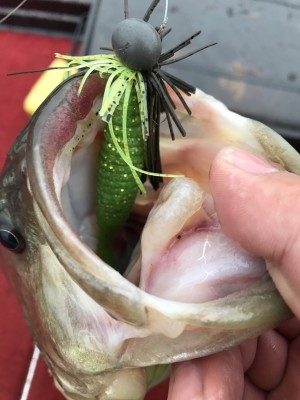 hideup 松本泰明 ブログ写真 2017/11/06