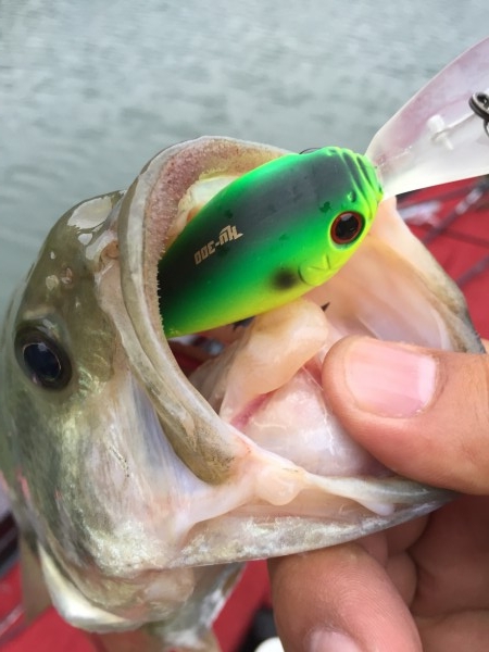 hideup 松本泰明 ブログ写真 2017/09/22