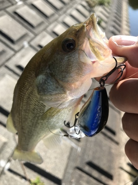 hideup 松本泰明 ブログ写真 2017/08/31