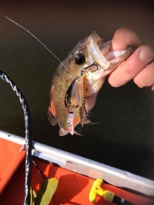 hideup 松本泰明 ブログ写真 2017/11/22