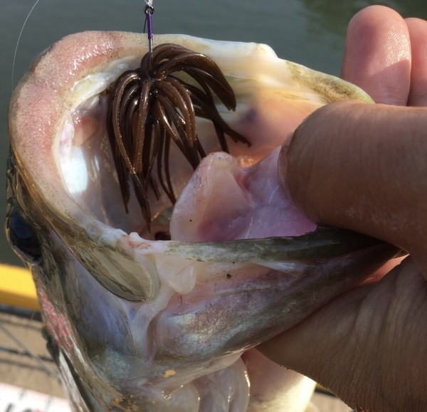 hideup 松本泰明 ブログ写真 2017/07/24