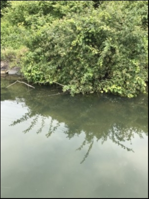 hideup 松本泰明 ブログ写真 2017/12/23