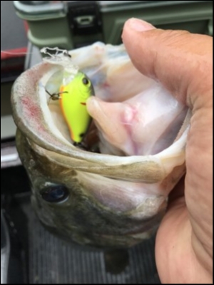 hideup 松本泰明 ブログ写真 2017/12/23