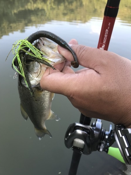 hideup &aelig;&frac34;&aelig;&not;&aelig;&sup3;&deg;&aelig; &atilde;&atilde;&shy;&atilde;&deg;&aring;&ccedil; 2018/10/02