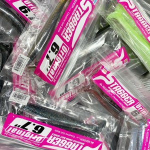 hideup 松本泰明 ブログ写真 2019/10/28