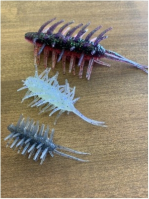 hideup 松本泰明 ブログ写真 2020/03/07