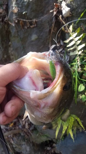 hideup 松本泰明 ブログ写真 2020/04/12