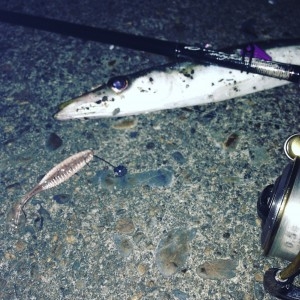 hideup 森田健太郎 ブログ写真 2017/05/11