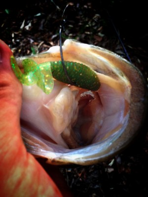 hideup 森田健太郎 ブログ写真 2017/05/06