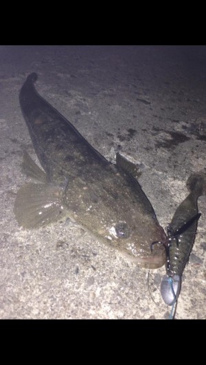 hideup 森田健太郎 ブログ写真 2017/05/18