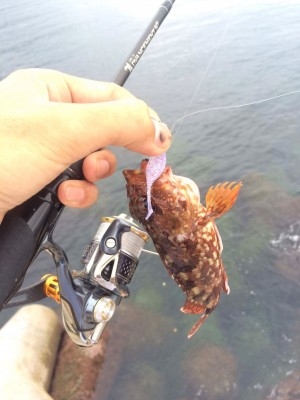 hideup 森田健太郎 ブログ写真 2017/05/22