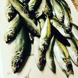 hideup 森田健太郎 ブログ写真 2017/05/15