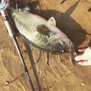 hideup 森田健太郎 ブログ写真 2017/06/04