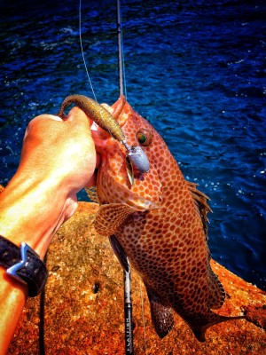 hideup 森田健太郎 ブログ写真 2017/06/06