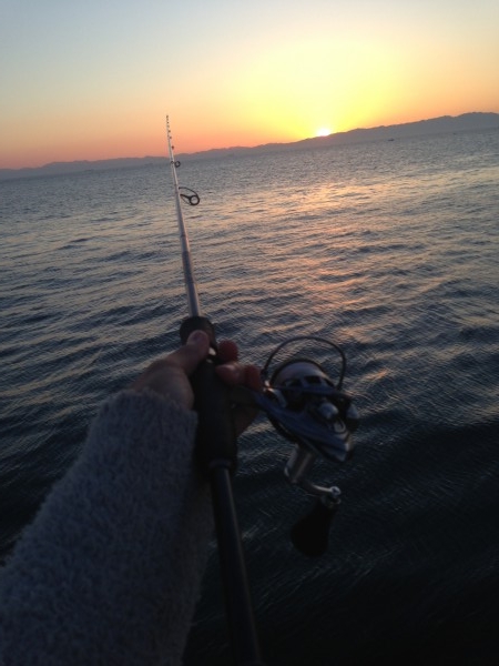 hideup 森田健太郎 ブログ写真 2017/05/18