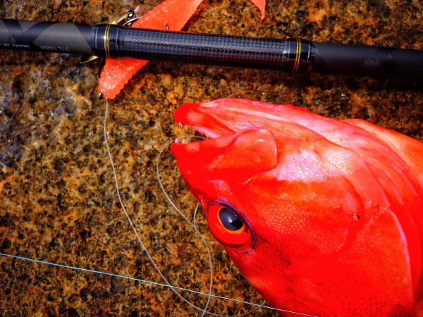 hideup 森田健太郎 ブログ写真 2017/06/06