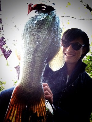 hideup 森田健太郎 ブログ写真 2017/05/06