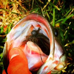 hideup 森田健太郎 ブログ写真 2017/05/17