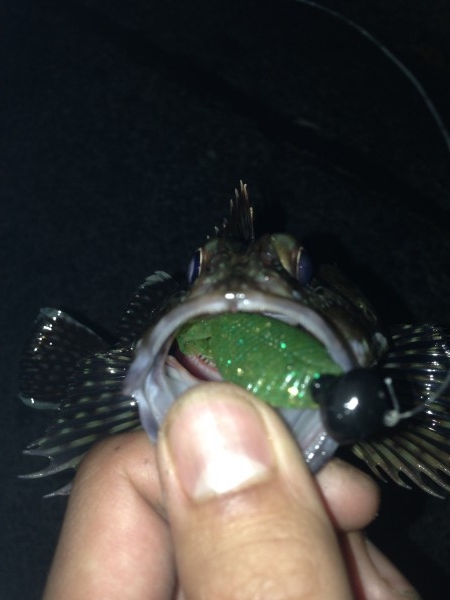 hideup 森田健太郎 ブログ写真 2017/05/11