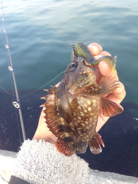 hideup 森田健太郎 ブログ写真 2017/05/19