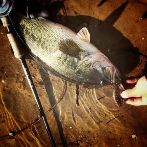 hideup 森田健太郎 ブログ写真 2017/05/16