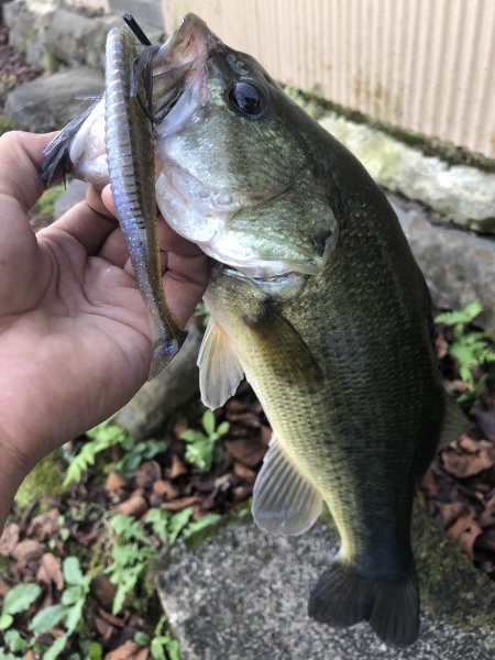 hideup 森田健太郎 ブログ写真 2019/10/23