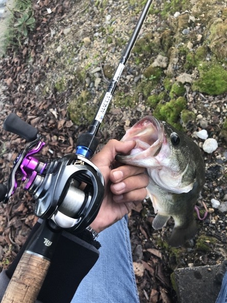 hideup 森田健太郎 ブログ写真 2019/11/04