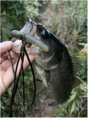 hideup 森田健太郎 ブログ写真 2019/11/04