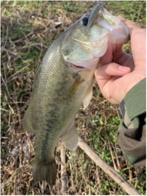 hideup 森田健太郎 ブログ写真 2019/11/04