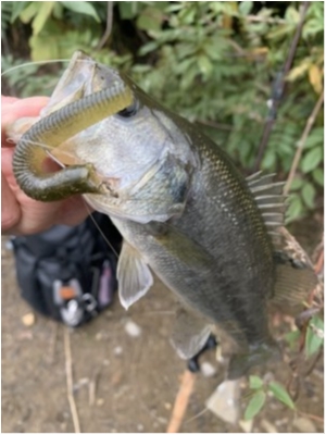 hideup 森田健太郎 ブログ写真 2019/11/04