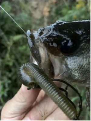 hideup 森田健太郎 ブログ写真 2019/11/04