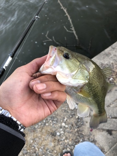 hideup 森田健太郎 ブログ写真 2019/11/04