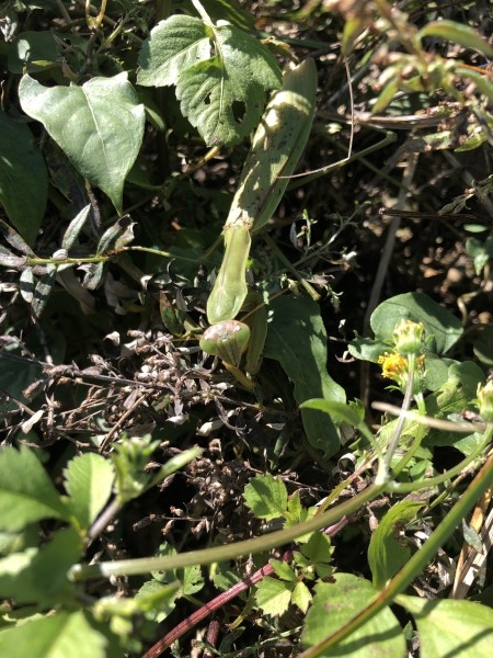 hideup 森田健太郎 ブログ写真 2019/11/06