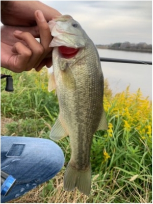 hideup 森田健太郎 ブログ写真 2019/11/07