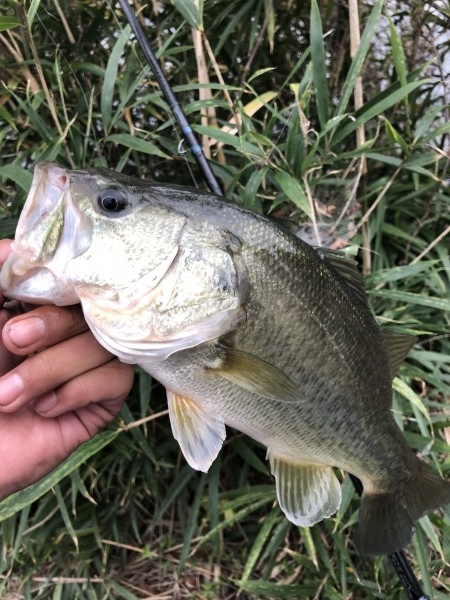 hideup 森田健太郎 ブログ写真 2019/11/07