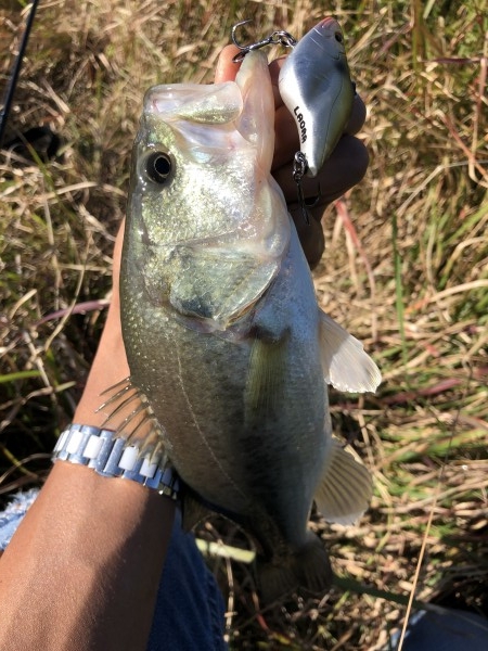 hideup 森田健太郎 ブログ写真 2019/11/09