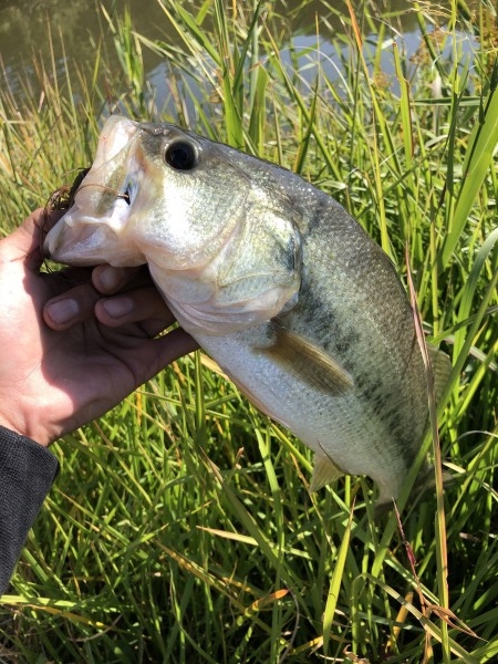 hideup 森田健太郎 ブログ写真 2019/11/09