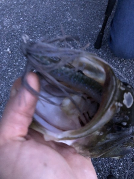 hideup 森田健太郎 ブログ写真 2019/11/10