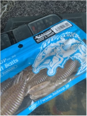 hideup 森田健太郎 ブログ写真 2019/11/10