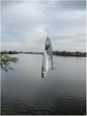 hideup 森田健太郎 ブログ写真 2019/11/12